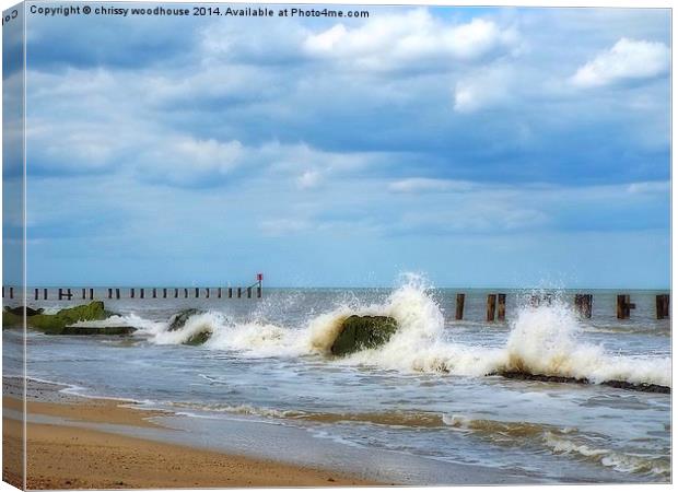  wave watching Canvas Print by chrissy woodhouse