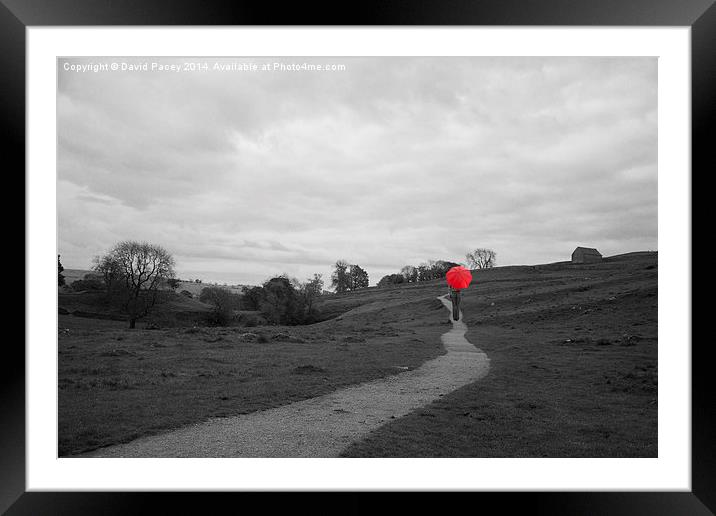  Red Umbrella Framed Mounted Print by David Pacey