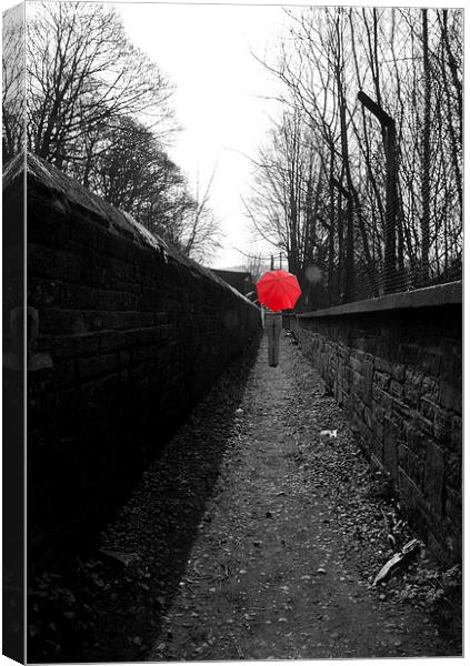  Red Umbrella 2 Canvas Print by David Pacey