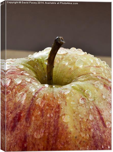  Apple (1) Canvas Print by David Pacey