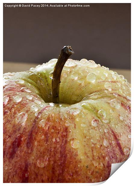  Apple (1) Print by David Pacey