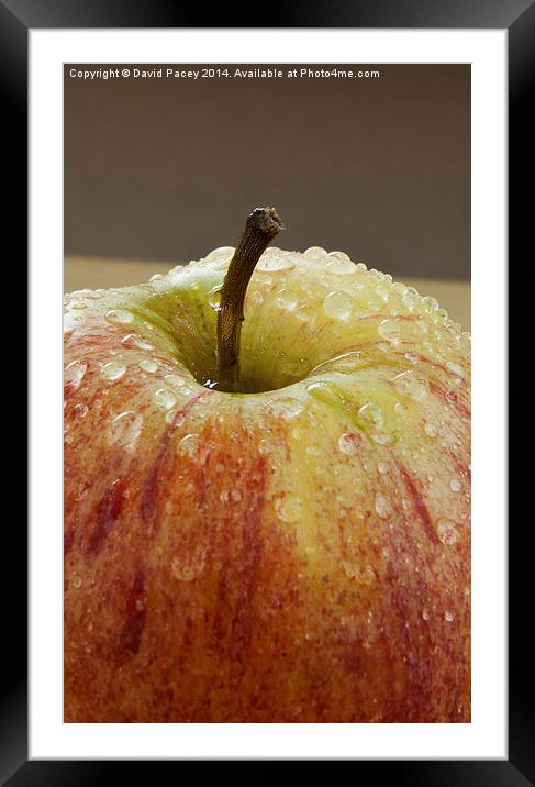  Apple (2) Framed Mounted Print by David Pacey