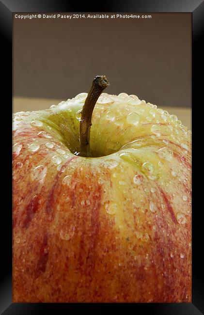 Apple (2) Framed Print by David Pacey
