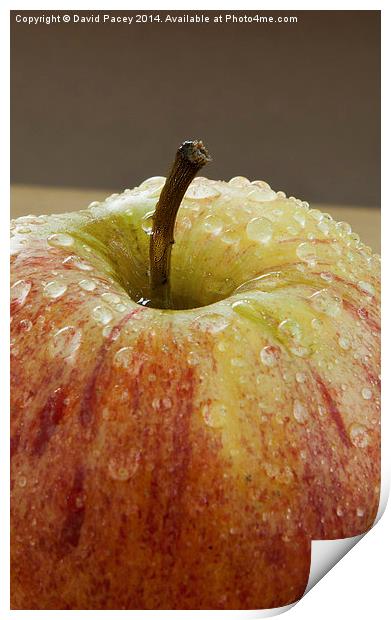  Apple (2) Print by David Pacey