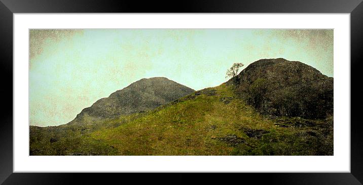  lone tree 0'glencoe Framed Mounted Print by dale rys (LP)
