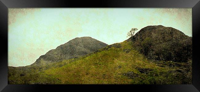  lone tree 0'glencoe Framed Print by dale rys (LP)