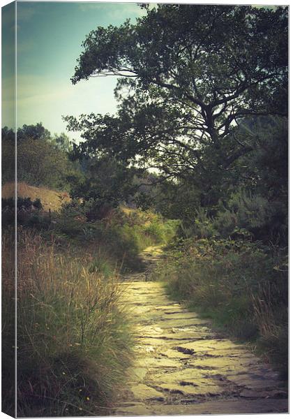  River Pathway Canvas Print by Sean Wareing