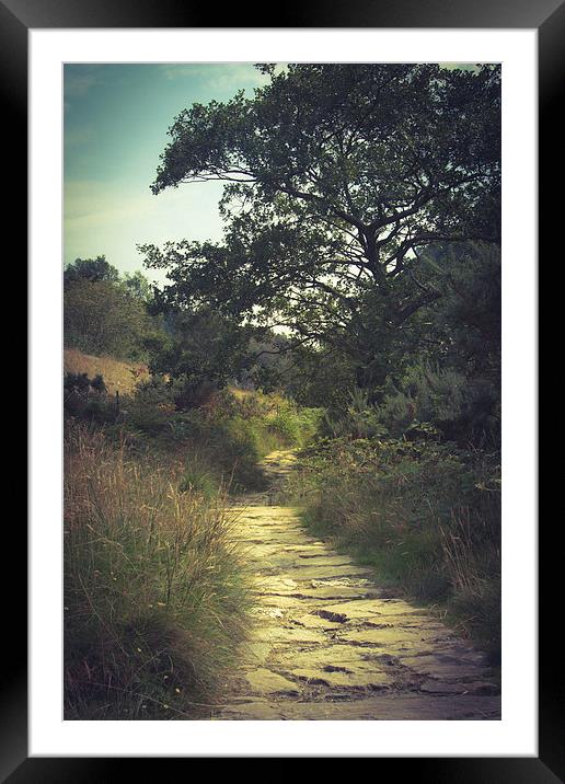  River Pathway Framed Mounted Print by Sean Wareing