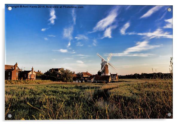  Cley windmill Acrylic by Avril Harris