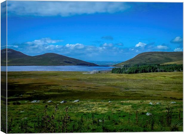 Spelga Dam Mourne Mountains Northern Ireland Canvas Print by Chris Curry