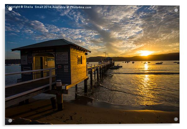  Palm Beach wharf sunset Acrylic by Sheila Smart
