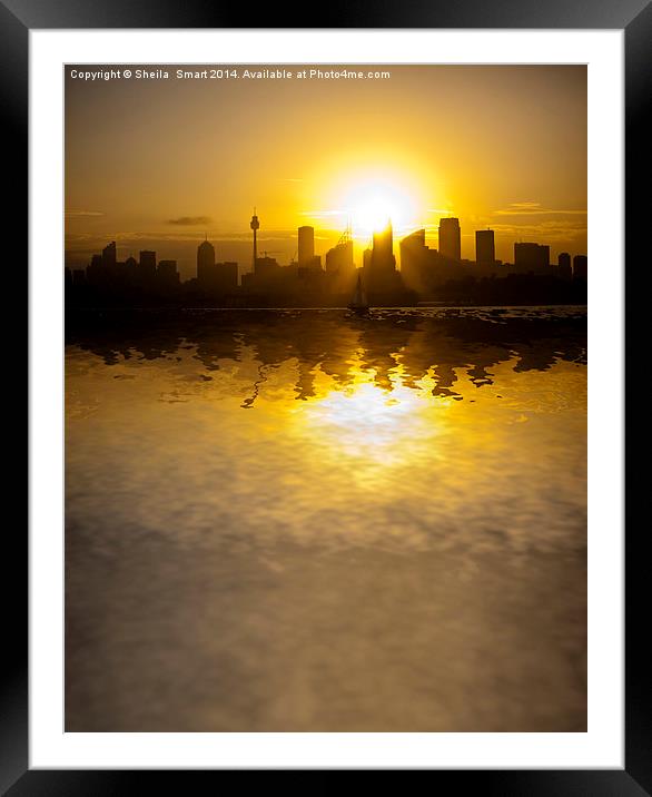 Sydney Harbour sunset Framed Mounted Print by Sheila Smart