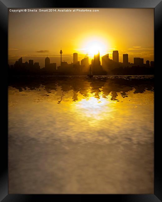  Sydney Harbour sunset Framed Print by Sheila Smart