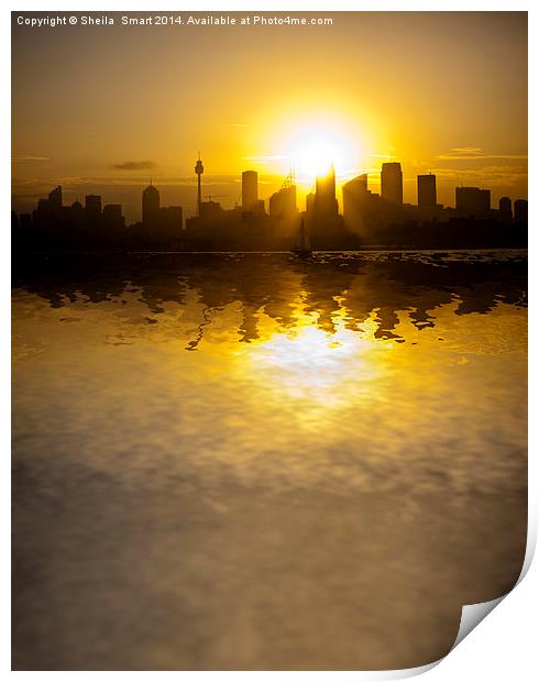  Sydney Harbour sunset Print by Sheila Smart