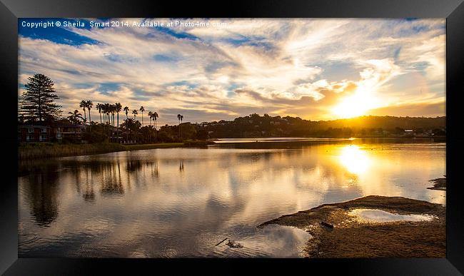  Sunset at Narrabeen Lagoon Framed Print by Sheila Smart