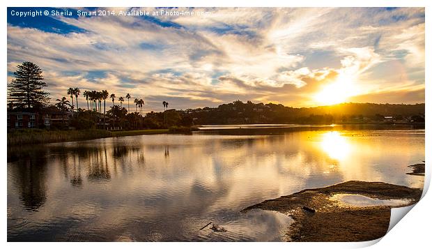  Sunset at Narrabeen Lagoon Print by Sheila Smart