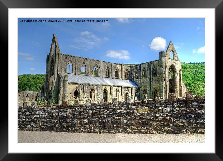  Tintern Abbey Framed Mounted Print by Diana Mower