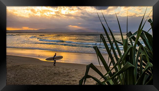  Byron Bay surfer Framed Print by Sheila Smart