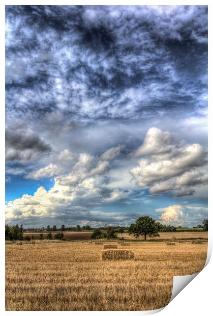  Summer Skies over the farm Print by David Pyatt