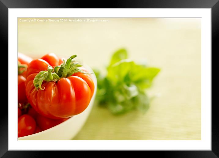  Simply Tomatoes 1 Framed Mounted Print by Corrine Weaver