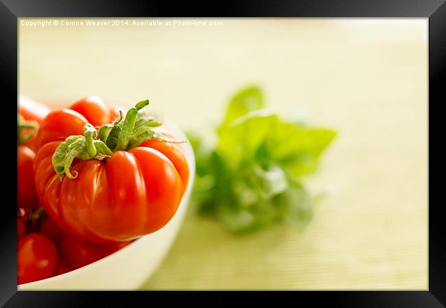  Simply Tomatoes 1 Framed Print by Corrine Weaver