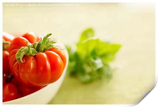  Simply Tomatoes 1 Print by Corrine Weaver
