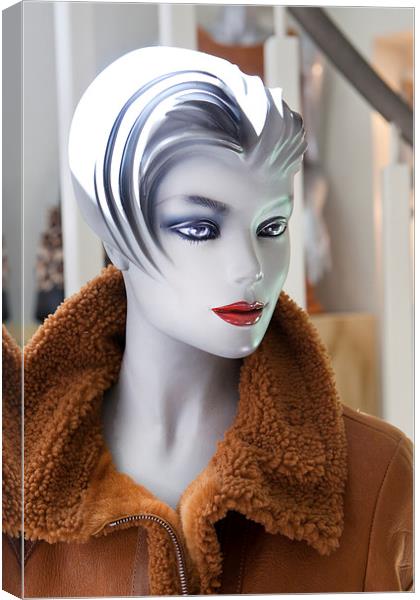  Mannequin 74 Canvas Print by David Hare
