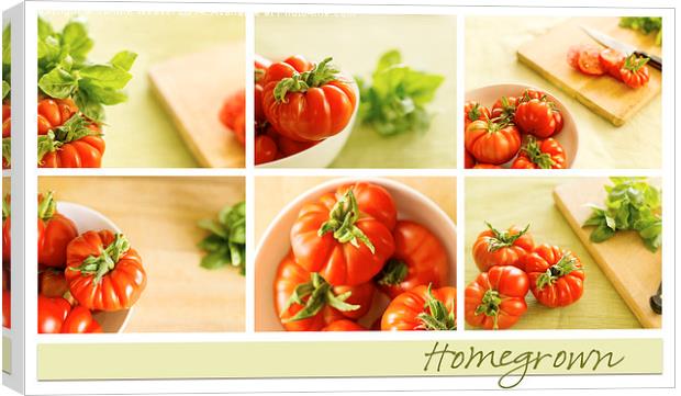  Simply Tomatoes Storyboard Canvas Print by Corrine Weaver