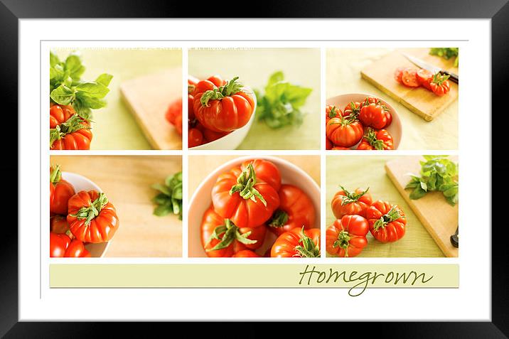  Simply Tomatoes Storyboard Framed Mounted Print by Corrine Weaver
