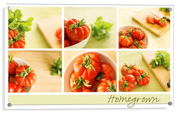  Simply Tomatoes Storyboard Acrylic by Corrine Weaver