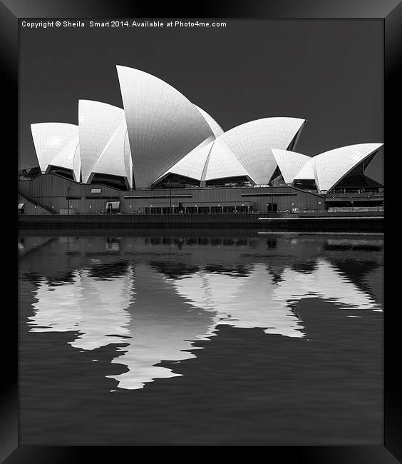  Sydney Opera House abstract Framed Print by Sheila Smart