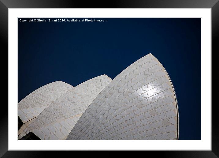  Sails of Sydney Opera House Framed Mounted Print by Sheila Smart