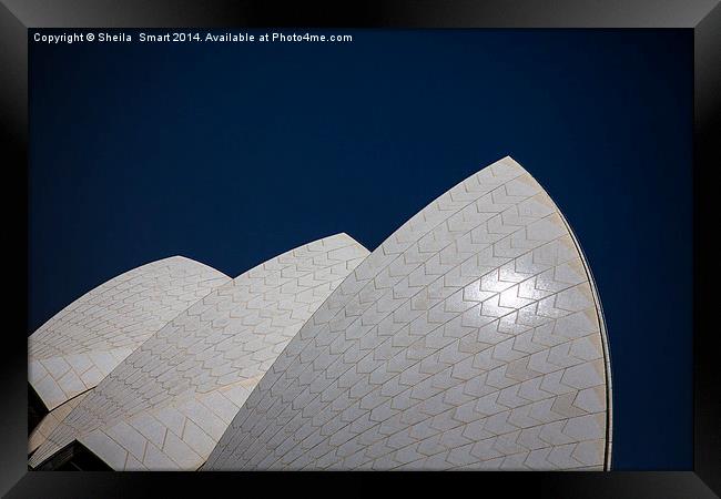  Sails of Sydney Opera House Framed Print by Sheila Smart