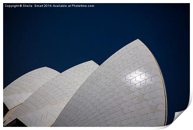  Sails of Sydney Opera House Print by Sheila Smart