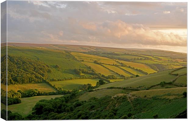 Exmoor  Canvas Print by graham young