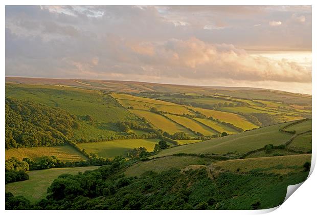 Exmoor  Print by graham young
