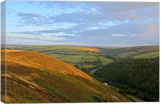 An Exmoor Evening  Canvas Print by graham young