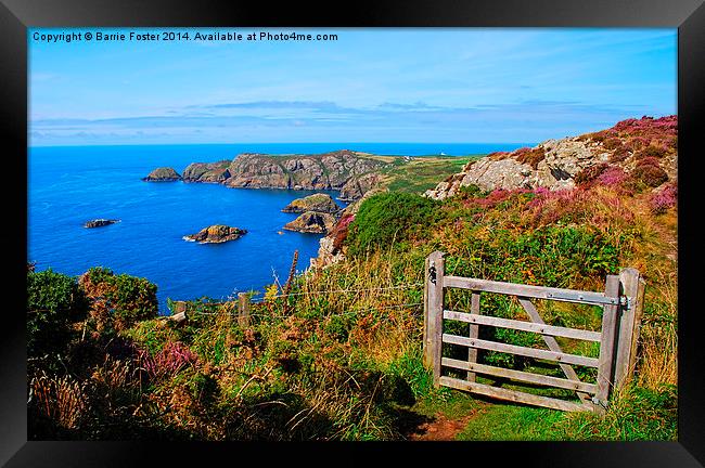  The Wales Coast Path above Pwllderi Framed Print by Barrie Foster