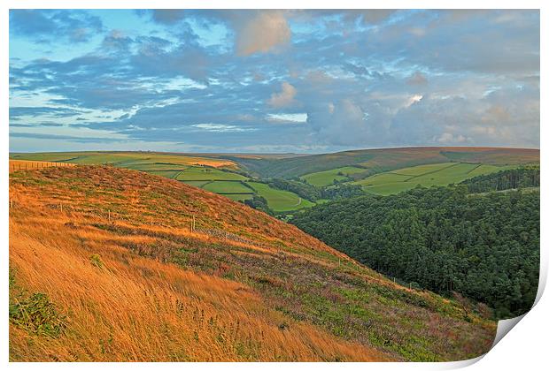 An Exmoor Hillside  Print by graham young