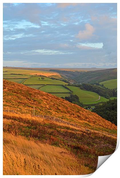 The Colours of Exmoor  Print by graham young