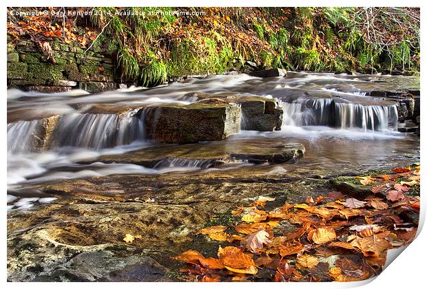  Autumnal Flowing Stream Print by Gary Kenyon