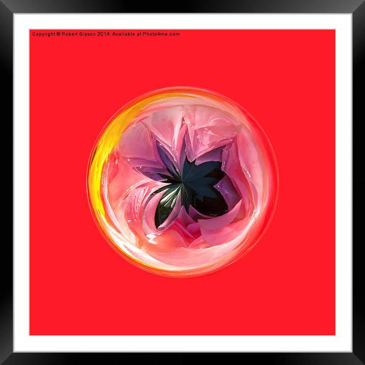  Faux lily in the globe abstract Framed Mounted Print by Robert Gipson