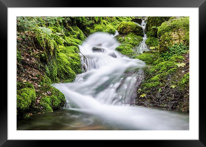  Skill Beck in Dodd Wood Cumbria  Framed Mounted Print by Phil Tinkler