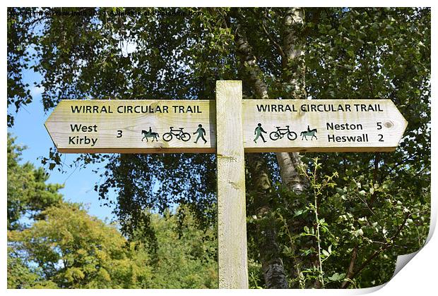  Wirral Country Park, Direction Indicators Print by Frank Irwin