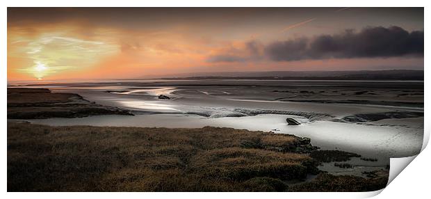  Penclawdd marsh sunset Print by Leighton Collins