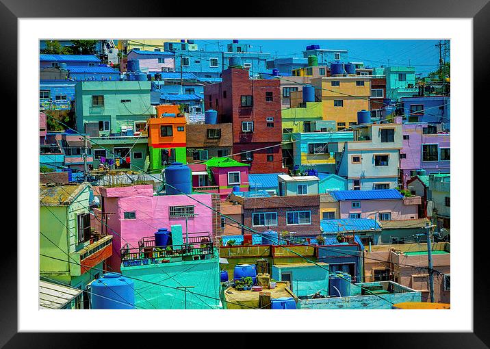  Colors of Busan Framed Mounted Print by Alex Inch