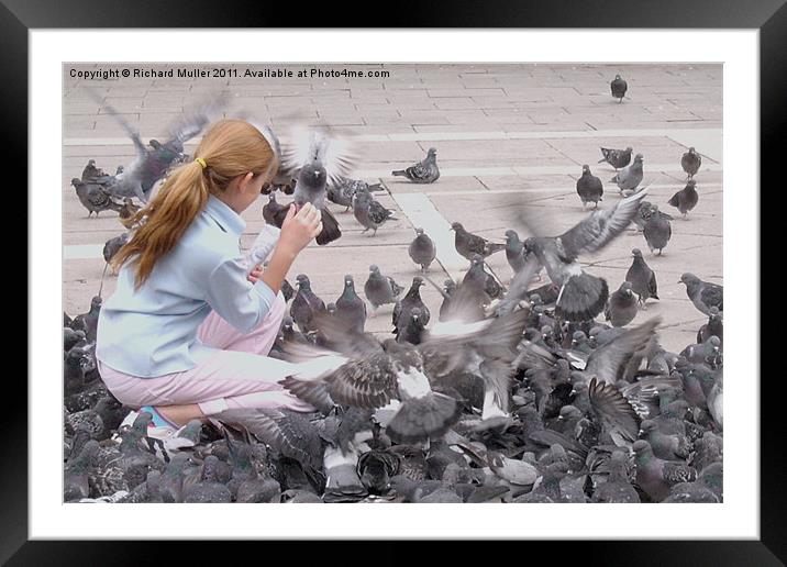 Girl with Pigeons III Framed Mounted Print by Richard Muller