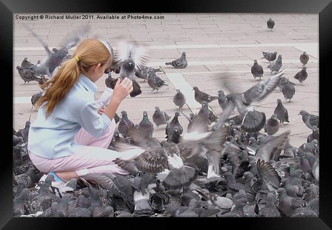 Girl with Pigeons III Framed Print by Richard Muller