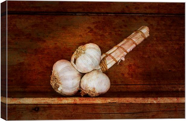  Bunch of garlic Canvas Print by David Hare