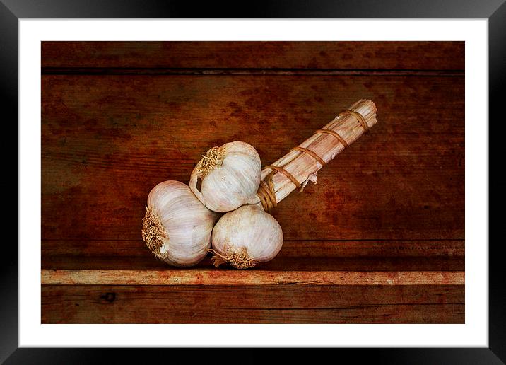  Bunch of garlic Framed Mounted Print by David Hare